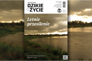 Wywiad z Łukaszem w miesięczniku „Dzikie Życie”